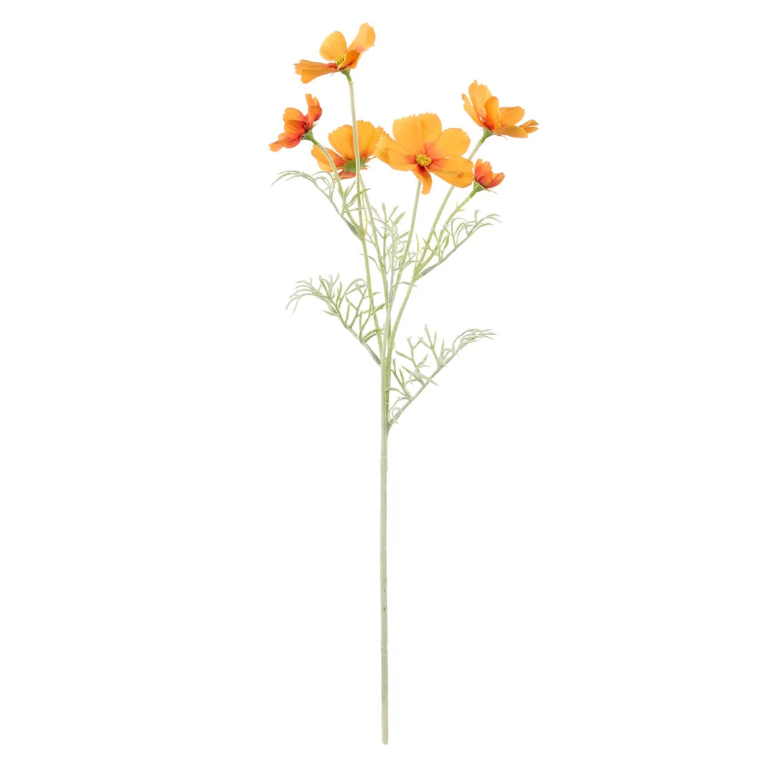 Rogue Cosmos Flower Spray Orange