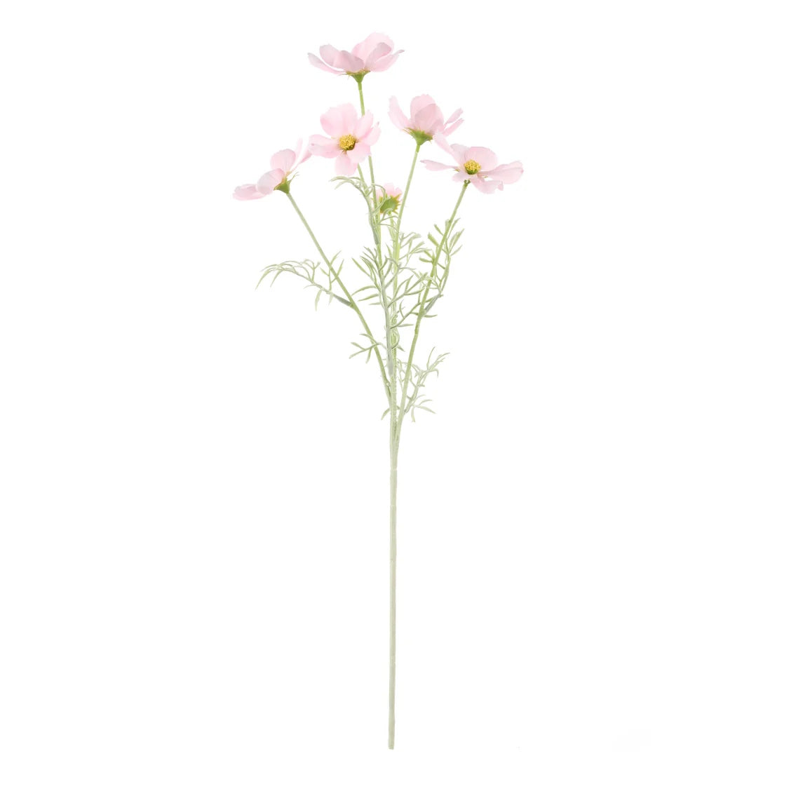 Rogue Cosmos Flower Spray Pink