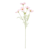 Rogue Cosmos Flower Spray Pink