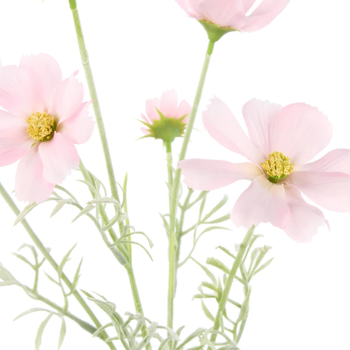 Rogue Cosmos Flower Spray Pink