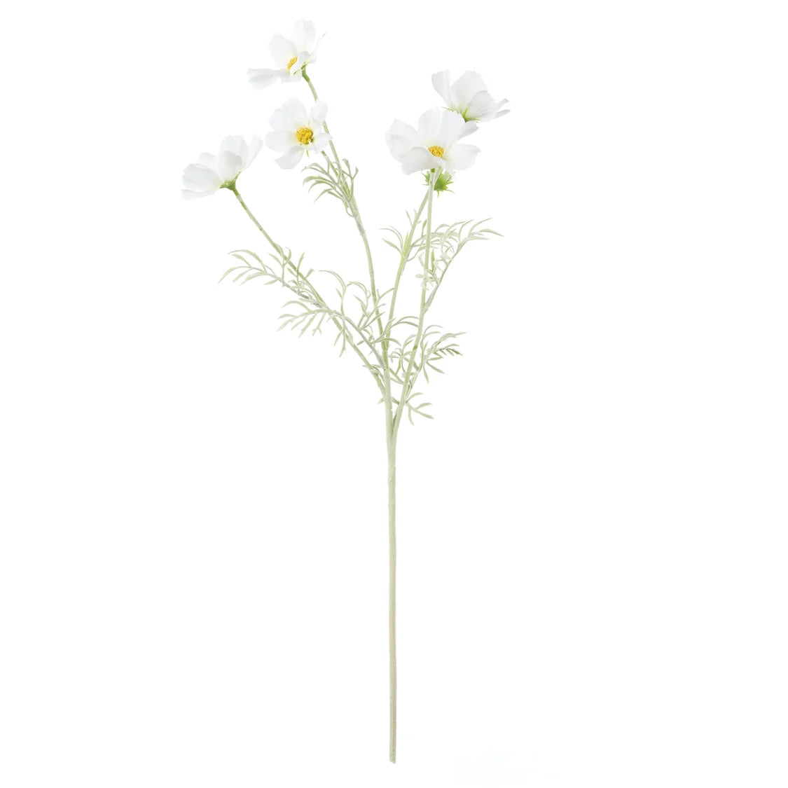 Rogue Cosmos Flower Spray White