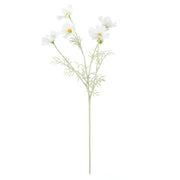 Rogue Cosmos Flower Spray White