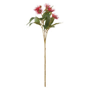 Rogue Eucalyptus Flower Spray Red