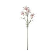 Rogue Flannel Flower Pink