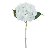 Rogue Hydrangea Evie White