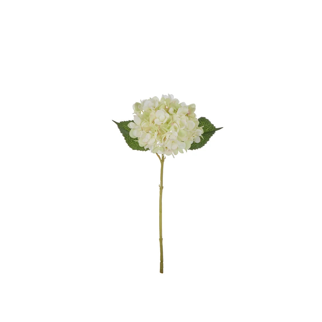Rogue Hydrangea Stem Green
