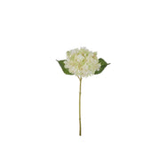 Rogue Hydrangea Stem Green