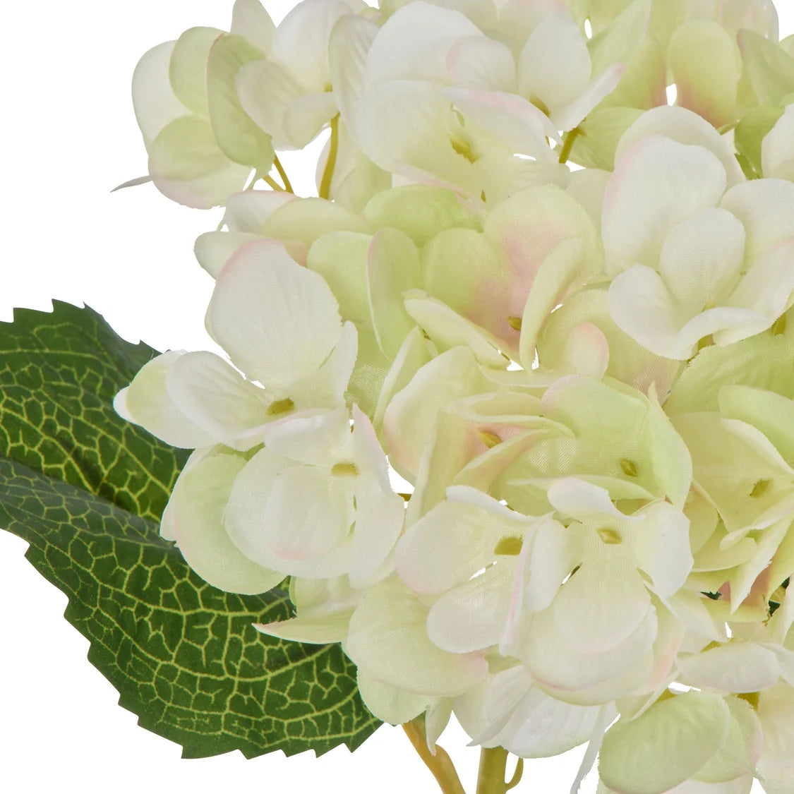 Rogue Hydrangea Stem Green