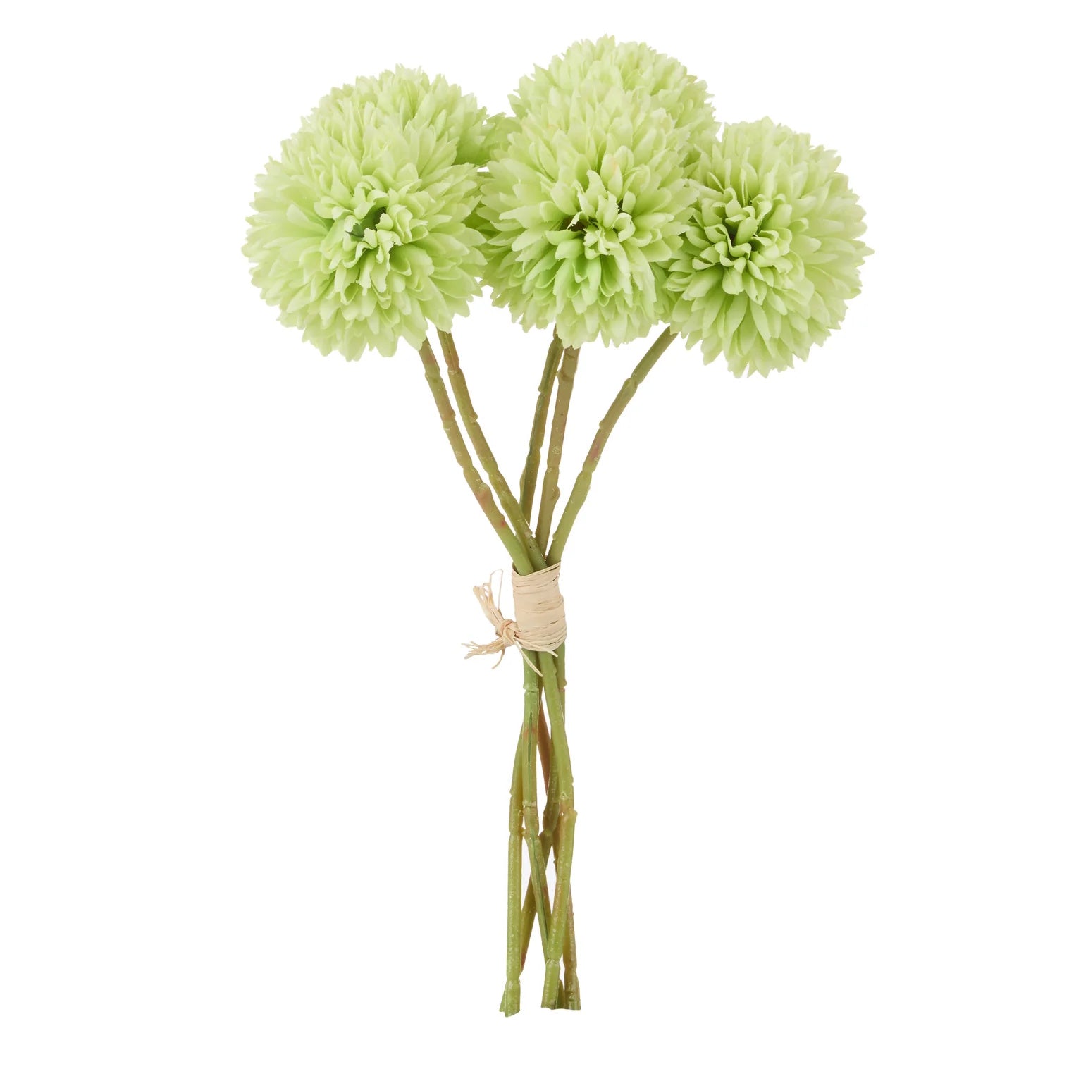 Rogue Kiku Bunch Green