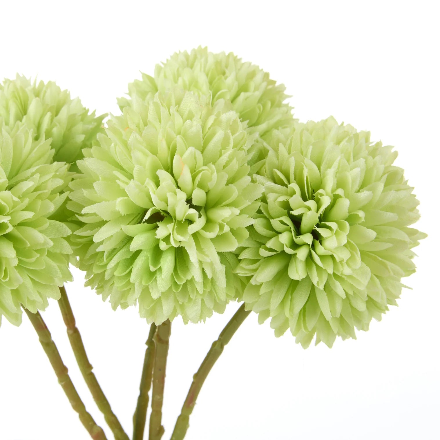 Rogue Kiku Bunch Green