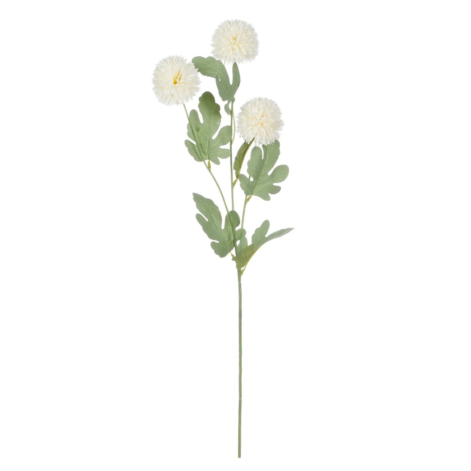 Rogue Kiku Spray Ivory