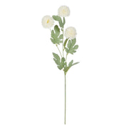 Rogue Kiku Spray Ivory