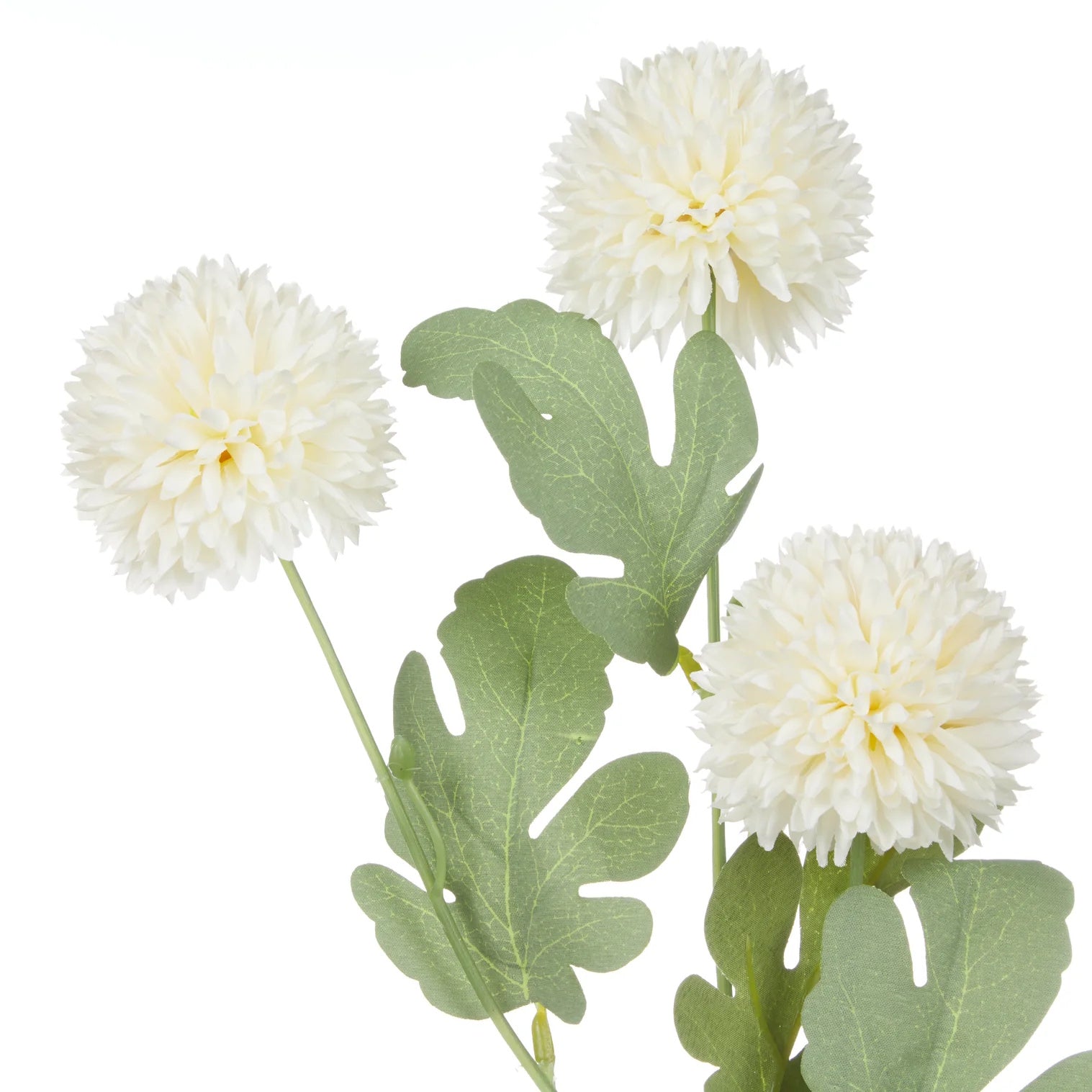Rogue Kiku Spray Ivory