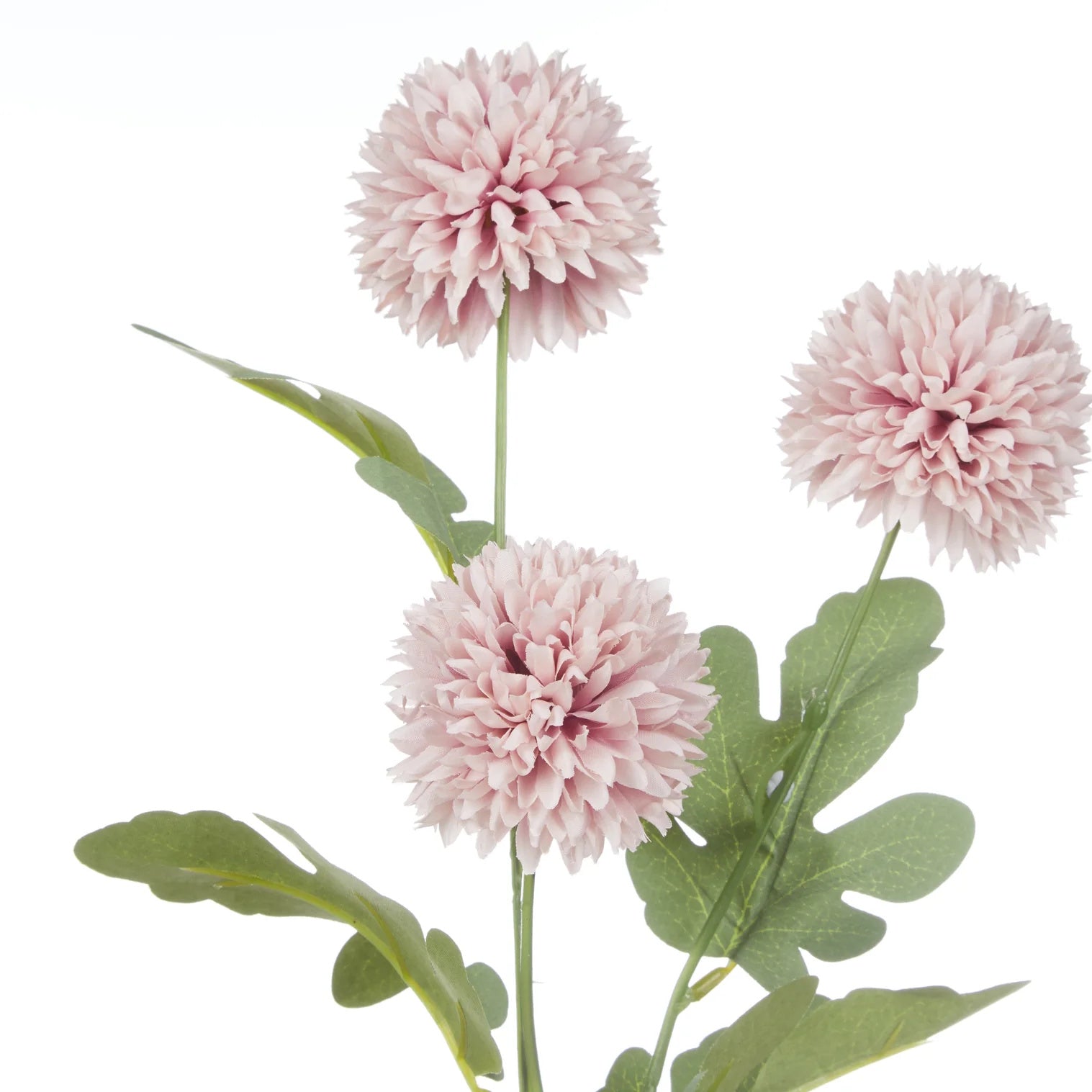 Rogue Kiku Spray Pink