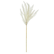 Rogue Pampas Spray Cream