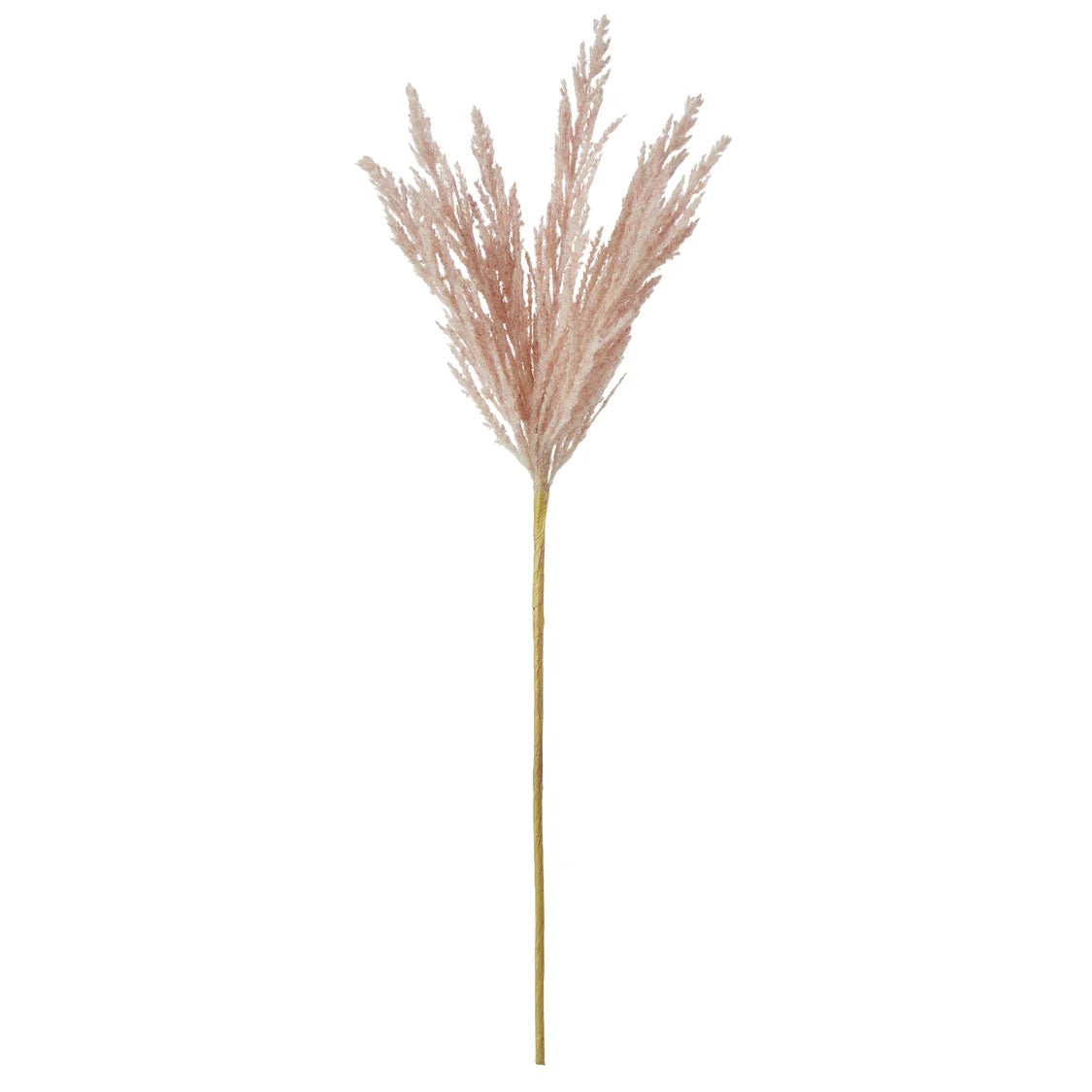 Rogue Pampas Spray Light Pink