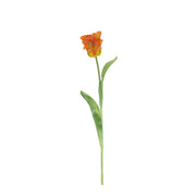 Rogue Parrot Tulip Stem Orange