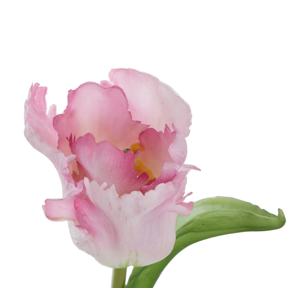 Rogue Parrot Tulip Stem Pink