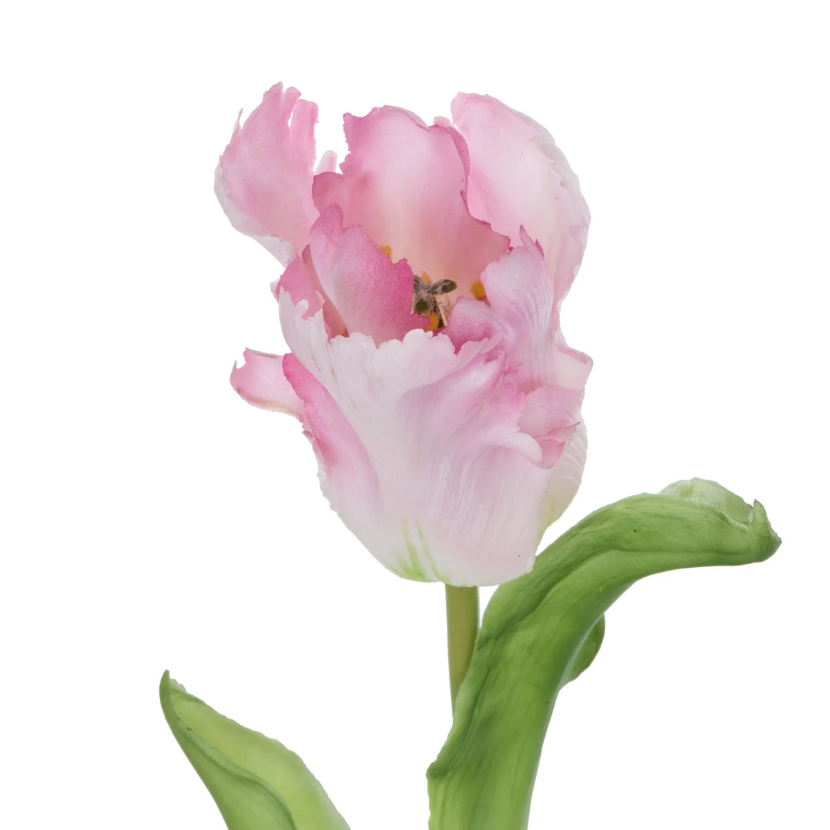Rogue Parrot Tulip Stem Pink