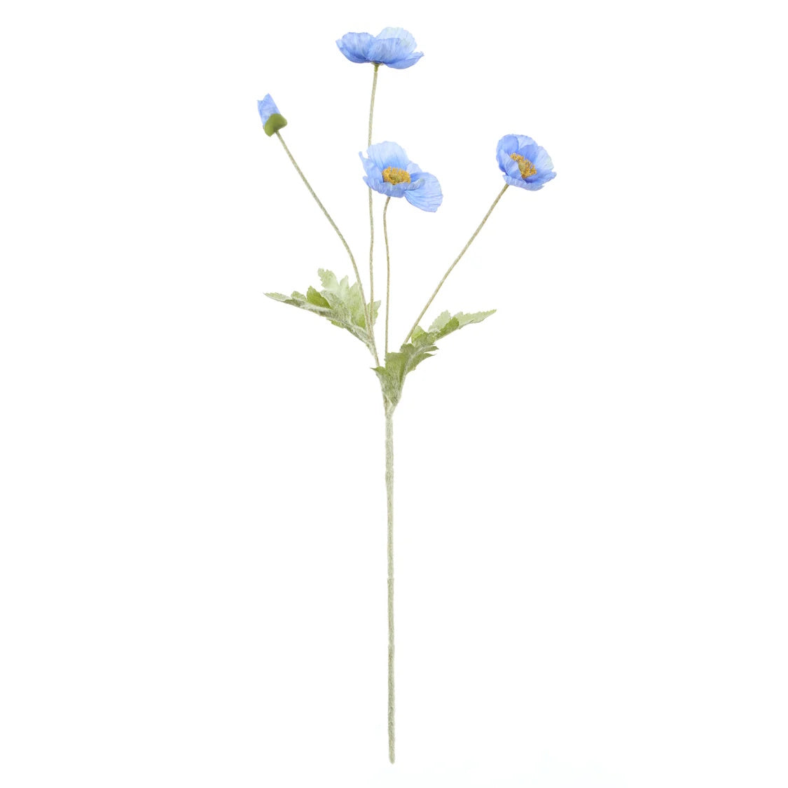Rogue Poppy Spray Blue