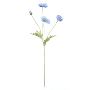 Rogue Poppy Spray Blue