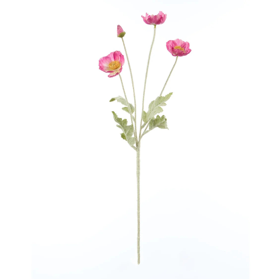Rogue Poppy Spray Dark Pink