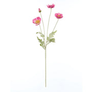 Rogue Poppy Spray Dark Pink