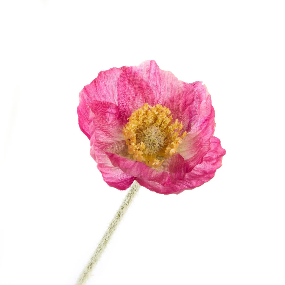 Rogue Poppy Spray Dark Pink