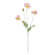 Rogue Poppy Spray Lilac