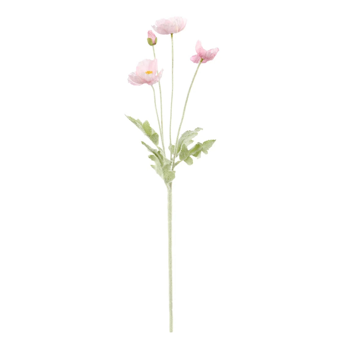 Rogue Poppy Spray Pink