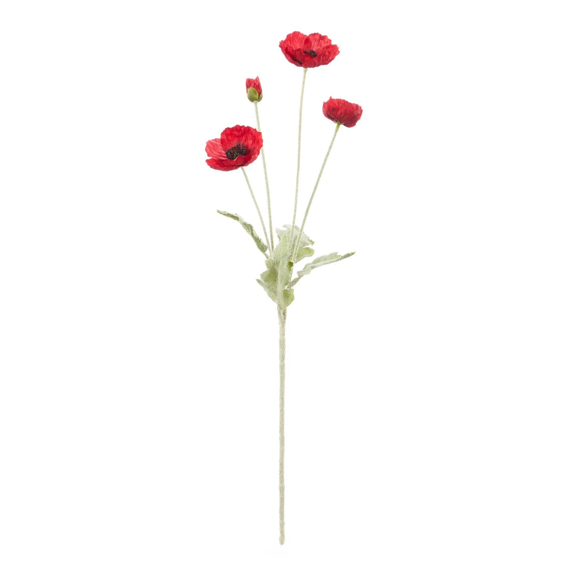 Rogue Poppy Spray Red