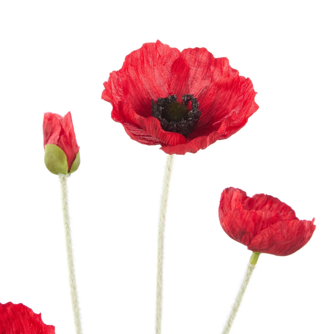 Rogue Poppy Spray Red