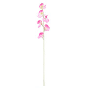 Rogue Sweet Pea Spray Purple