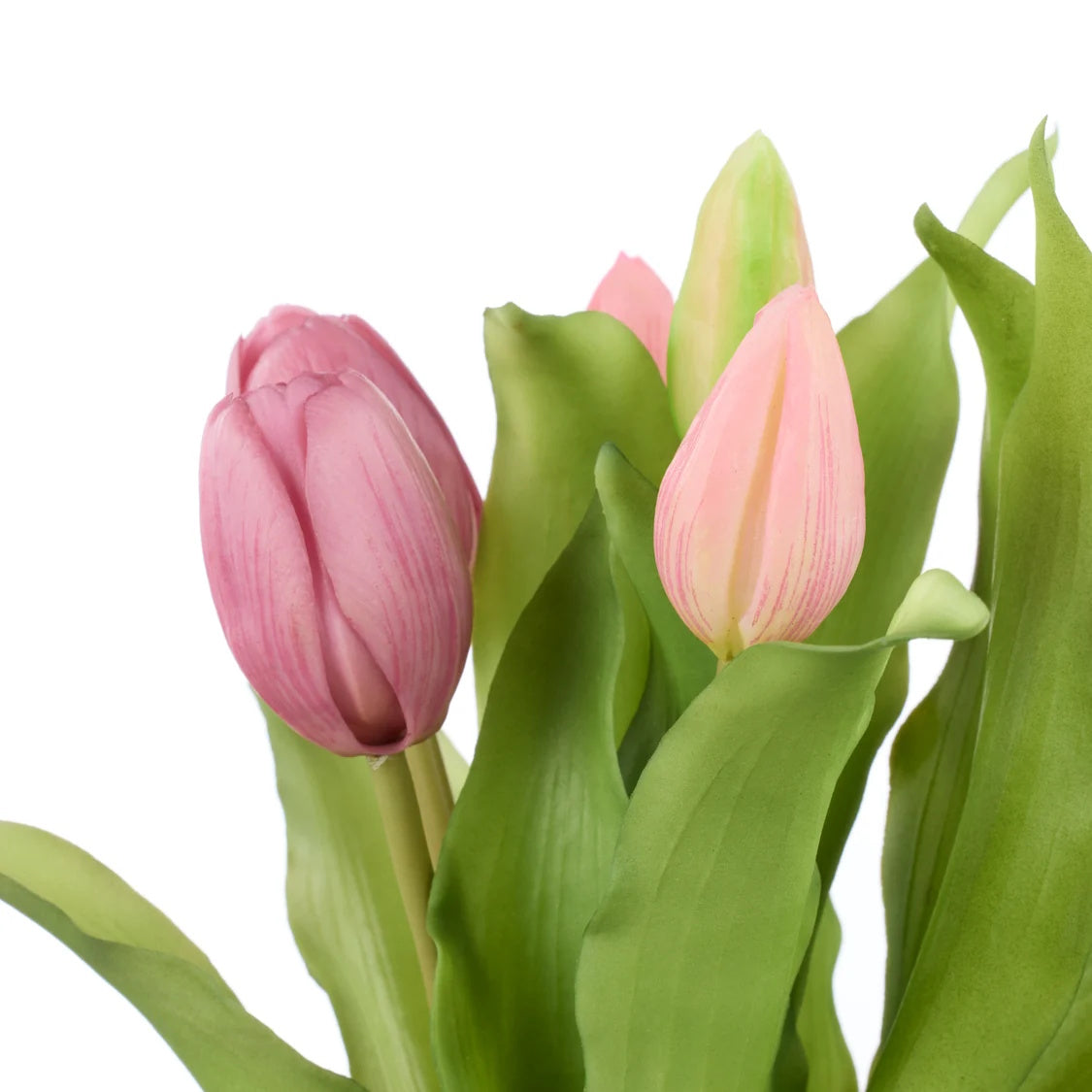 Rogue Tulip Bunch Pink