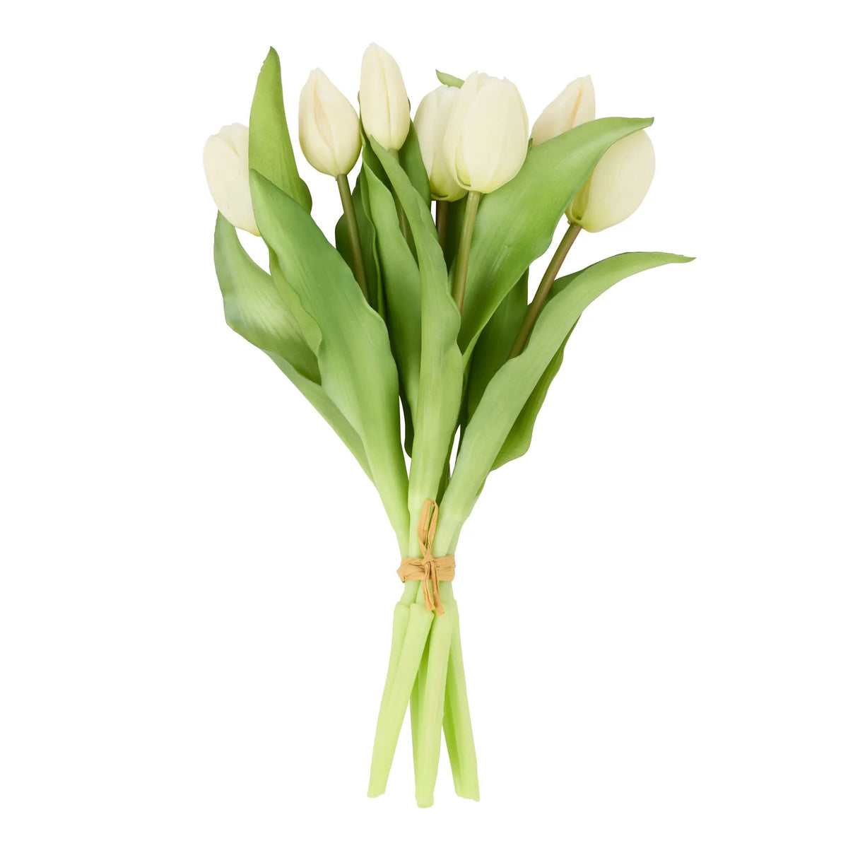 Rogue Tulip Bunch White