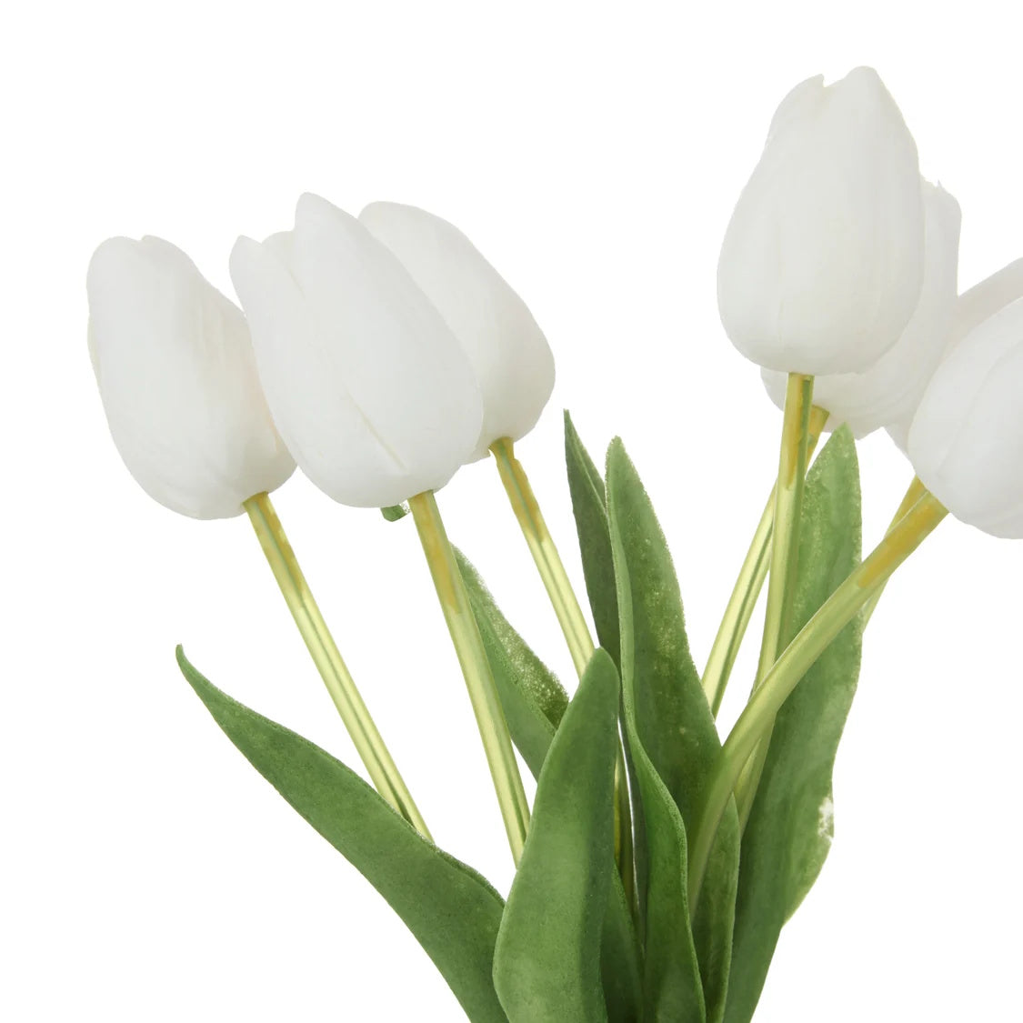 Rogue Tulip Bunch White