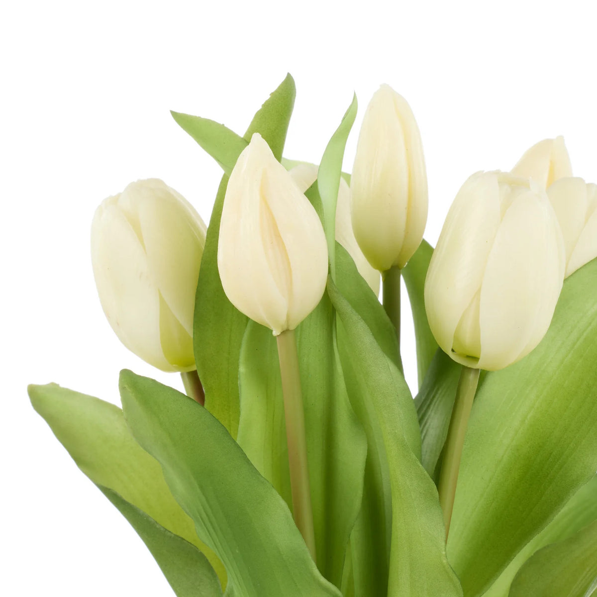 Rogue Tulip Bunch White