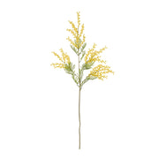 Rogue Wattle Spray Yellow